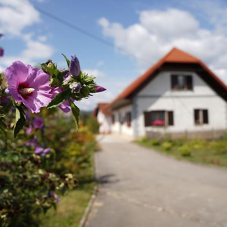 House Of Culture And Nature - Hisa Kulture In Nature Zagradec Exterior foto