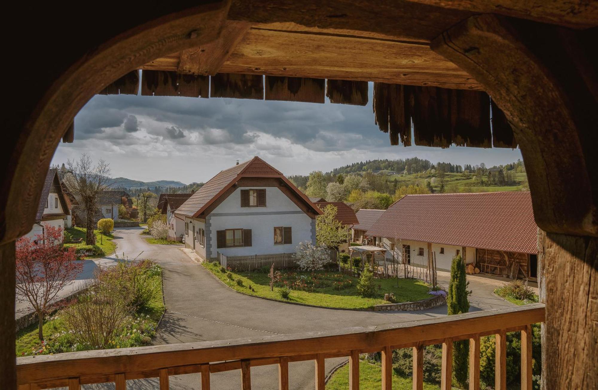 House Of Culture And Nature - Hisa Kulture In Nature Zagradec Exterior foto